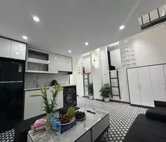 house for sale in doi can, ba dinh, 50m2, 4m m, only 2.8 billion