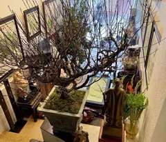 house for sale in dong da, 53m trung liet, street side to avoid cars parking, busy business