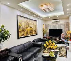 house for sale in le gia dinh, hue street, car turning alley, 5 floors built by people. 12.8 billion