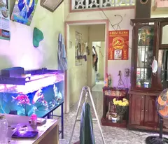 house for sale in linh trung lane, thu duc, 60m², 3.8 billion, pink book