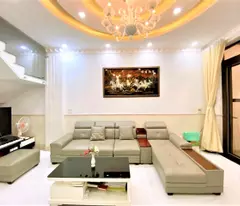 house for sale in ly chinh thang district 3, (4x15m, 4 floors) hxh only 7.1 billion.