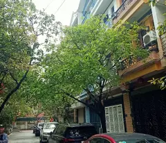 house for sale in my dinh lk subdivision 60m2 5 floors elevator price only 18 billion
