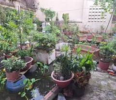 house for sale in tran quang khai alley, hiep phu, district 9, 160m2, 3 floors, 3 bedrooms, living room, 11.35 billion.