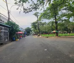 house for sale investment restaurant 60 million/m2 100 street 4, tan tao a binh tan, subdivision area 100m2