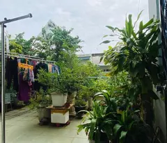 house for sale mt bach dang 2, tan binh 7 bedroom, 85m2, only 23 billion