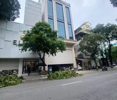 house for sale on ba trieu street in the center of hai ba trung district prime location 256m price 256 billion
