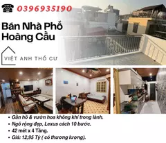 house for sale on hoang cau street, subdivision area, near ecological lake, 42mx4t, price: 12.95 billion, contact: 0396935190.