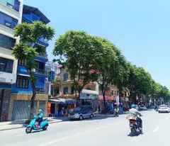 house for sale on le trong tan street, thanh xuan - 186m² - 6m mt - wide sidewalk - business - 73 billion