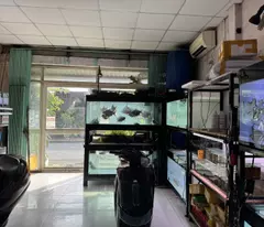house for sale on street 9, linh xuan ward, thu duc, ho chi minh city. area 82m2, pink book, 5.1 billion.