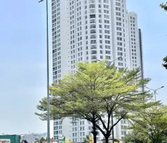 house for sale on street, district 7, tran xuan companion: 1322m2, 3 floors, 30 bedrooms, 32 bathrooms - price 265 billion - pink book, golden location,