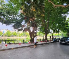 house for sale on town duc thang, dong da, 44m2 6 floors, top business - location - 5m mt - 3 steps out
