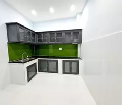 house for sale thaoi ngoc hau phu thanh tan phu hxh 3 br 2 floor 48m 4.8t tl