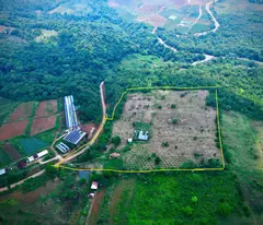 how much will you pay to get this 5 hectares of golden land?