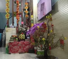 lac long quan hxt house for sale, ward 1, district 11, 39m2 2 beautiful floors now for only 5.5 billion, 035095924.