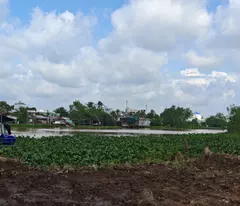 land for rent 5 million 1200m2 near con khuong bridge with 2 sides: road and river