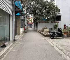 land for sale alley 213 ngo xuan quang, gia lam 117.6m2 - thong car - el/el business