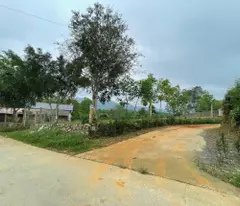 land for sale in golden field urban area - nghia lo, red book for each lot - good price this tet holiday