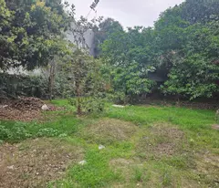 land for sale in the area of ​​danh thang tay thien, tam dao, vinh phuc, price only 3 million/m2, area 11,398 m2