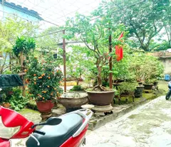 🍁 land for sale with free house c4 — front of nguyen hue street, vinh ninh, hue city 🍁