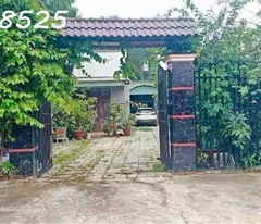 need to move, quick sale of land lot 1500m2, 280 million, full fruit trees, 1 level 4 house
