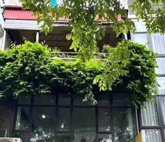 nhat chieu townhouse for sale, west lake - 65 billion, 83m² - 2 open sides, lake view, super profitable business