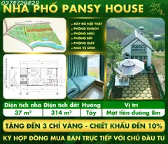 pansy house townhouse for sale, fully furnished, ready landscaped - price 2 billion - 314m2
