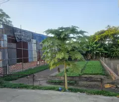 quick sale of beautiful lot of land with car need - good price in binh chanh.