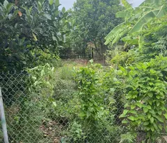 roadside land for sale, good business - dong dong commune, dong hung, thai binh. area 100m2, frontage