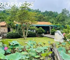 sale of 3500 m2, 12m road, price 310 million. has a house and fruit garden