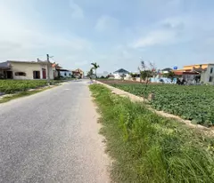 sale of 83 m2 plot of land to get money to build a house