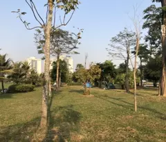 sale of adjacent lot b1.1 thanh ha muong thanh cienco 5 urban area with est price