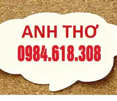 selling 200m2 rough-built villa in ham nghi - my dinh ii at the est price