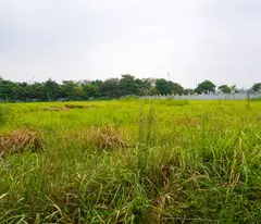 selling 3500m2 of land in ninh hiep industrial cluster, gia lam, hanoi. lot 2 frontage
