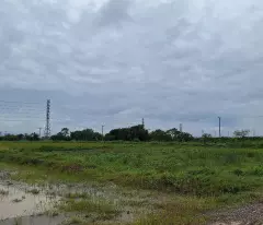 selling 6 hectares of factory land, located on the main road of my hao town, hung yen