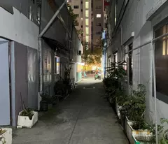 selling car alley house 4.2m 60m² tan thang tan phu only 88 million/m²