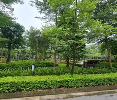 selling ciputra villa phase 1, area 180m2 facing south, price 345 million/m2,