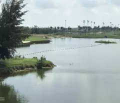 selling land with sea frontage on lac long quan street, dien duong. area 1000m2, width 23m. dolphin park