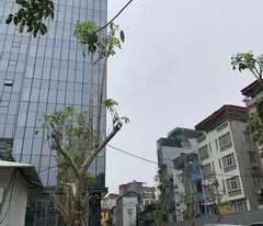 selling thai ha townhouse 50m2x6t, business-elevator, 8m from the street, price 8.68 billion