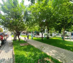 serviced apartment in tan quy dong residential area with basement, elevator, 5 floors, 60m2, income 650 million/year,