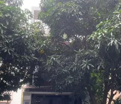 storey house for sale on thanh my loi street, district 2, near thu duc city committee
