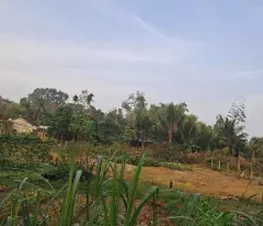 super house for sale on nguyen van nghi go vap, 4 floors reinforced concrete, area 45m2 4.65 billion.