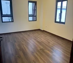 villa for sale adjacent to trau quy gia lam town center - business sidewalk 60m 54 floors 16.x billion